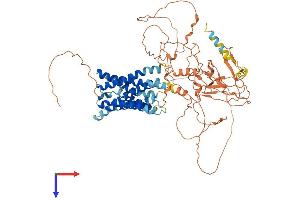 AlphaFold protein structure predicition of Human Recombinant GPR149 Protein, UniprotID Q86SP6