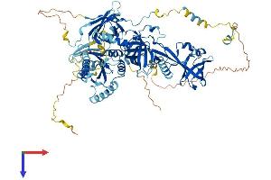 AlphaFold protein structure predicition of Human Recombinant TSR1 Protein, UniprotID Q2NL82