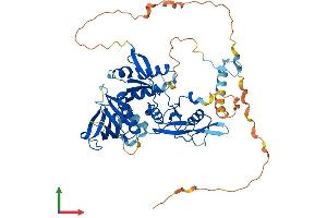 AlphaFold protein structure predicition of Human Recombinant GRB7 Protein, UniprotID Q14451