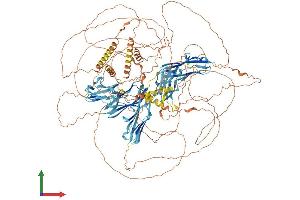 AlphaFold protein structure predicition of Mouse Recombinant Mypn Protein, UniprotID Q5DTJ9