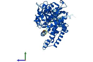 AlphaFold protein structure predicition of Mouse Recombinant Cyp2b19 Protein, UniprotID O55071