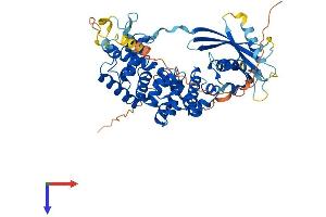 AlphaFold protein structure predicition of Mouse Recombinant Mutyh Protein, UniprotID Q99P21