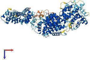 AlphaFold protein structure predicition of Human Recombinant MED24 Protein, UniprotID O75448