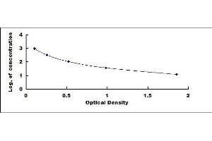 Orexin (OX) ELISA Kit