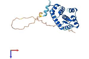 AlphaFold protein structure predicition of Mouse Recombinant Gca Protein, UniprotID Q8VC88
