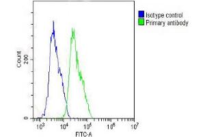Overlay histogram showing MCF-7 cells stained with Antibody (green line). (IL-1 beta anticorps  (AA 148-174))