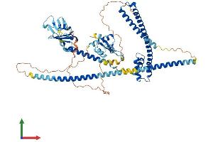 AlphaFold protein structure predicition of Human Recombinant ENOX1 Protein, UniprotID Q8TC92