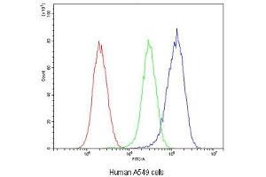 Flow cytometry testing of human A549 cells with Glutathione Reductase antibody at 1ug/10^6 cells (blocked with goat sera) (Glutathione Reductase anticorps)