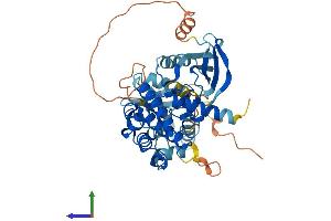 AlphaFold protein structure predicition of Mouse Recombinant Map2k5 Protein, UniprotID Q9WVS7
