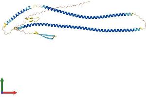 AlphaFold protein structure predicition of Mouse Recombinant Krt20 Protein, UniprotID Q9D312