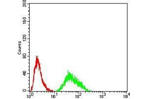 Flow cytometric analysis of Hela cells using KDM6A mouse mAb (green) and negative control (red).
