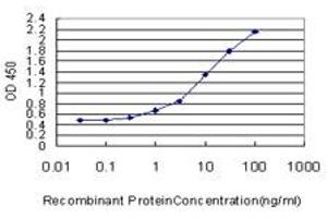 Detection limit for recombinant GST tagged TBX2 is approximately 0.