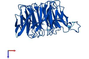 AlphaFold protein structure predicition of Human Recombinant CIAO1 Protein, UniprotID O76071