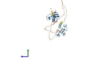 AlphaFold protein structure predicition of Mouse Recombinant Mbnl3 Protein, UniprotID Q8R003