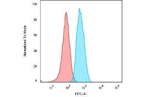 Flow Cytometric Analysis of Human Raji cells. (CD74 anticorps)