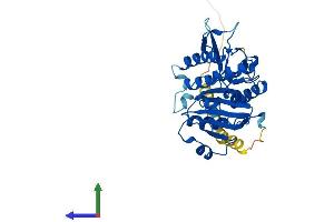 AlphaFold protein structure predicition of Mouse Recombinant Extl2 Protein, UniprotID Q9ES89