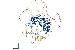 AlphaFold protein structure predicition of Human Recombinant DYRK1A Protein, UniprotID Q13627