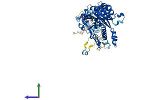 AlphaFold protein structure predicition of Mouse Recombinant Cnot6l Protein, UniprotID Q8VEG6