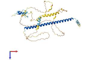 AlphaFold protein structure predicition of Mouse Recombinant Atf7 Protein, UniprotID Q8R0S1