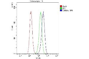 Flow Cytometry analysis of A431 cells using anti-Rab5/RAB5A antibody (ABIN6719366).