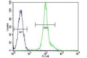 LCK antibody flow cytometric analysis of HeLa cells (green) compared to a negative control (blue).