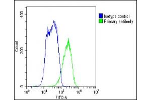 Overlay histogram showing HepG2 cells stained with (ABIN651897 and ABIN2840443)(green line).