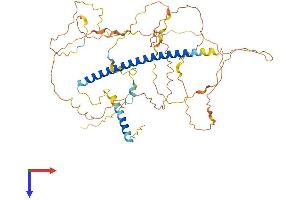 AlphaFold protein structure predicition of Mouse Recombinant Sgo1 Protein, UniprotID Q9CXH7
