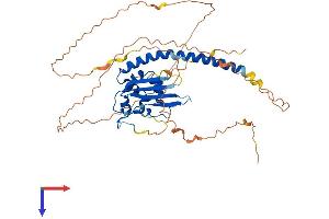 AlphaFold protein structure predicition of Human Recombinant TSPYL1 Protein, UniprotID Q9H0U9