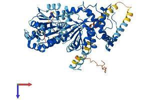 AlphaFold protein structure predicition of Human Recombinant DDX55 Protein, UniprotID Q8NHQ9