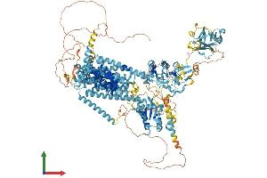 AlphaFold protein structure predicition of Human Recombinant DISP3 Protein, UniprotID Q9P2K9