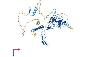 AlphaFold protein structure predicition of Mouse Recombinant Dpf3 Protein, UniprotID P58269