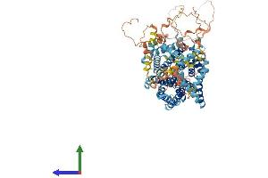 AlphaFold protein structure predicition of Mouse Recombinant Slc9a1 Protein, UniprotID Q61165