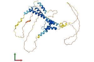 AlphaFold protein structure predicition of Human Recombinant MEIS3 Protein, UniprotID Q99687
