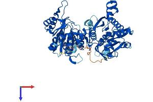 AlphaFold protein structure predicition of Mouse Recombinant Ctps2 Protein, UniprotID P70303