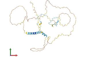 AlphaFold protein structure predicition of Mouse Recombinant Habp4 Protein, UniprotID Q9JKS5