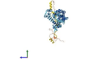 AlphaFold protein structure predicition of Mouse Recombinant Slc1a2 Protein, UniprotID P43006