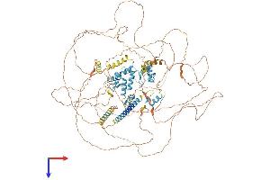 AlphaFold protein structure predicition of Human Recombinant SALL4 Protein, UniprotID Q9UJQ4