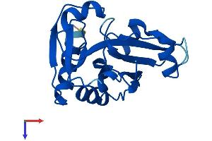AlphaFold protein structure predicition of Human Recombinant PRORSD1P Protein, UniprotID A6NEY8