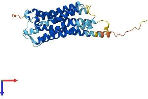 AlphaFold protein structure predicition of Mouse Recombinant Tbxa2r Protein, UniprotID P30987