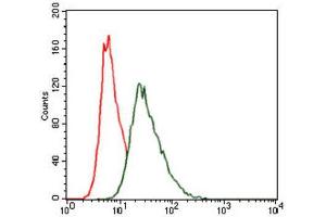 Flow Cytometry (FACS) image for anti-Heat Shock Transcription Factor 4 (HSF4) antibody (ABIN1843863) (HSF4 anticorps)