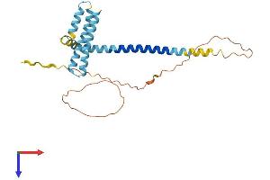 AlphaFold protein structure predicition of Mouse Recombinant Reep3 Protein, UniprotID Q99KK1