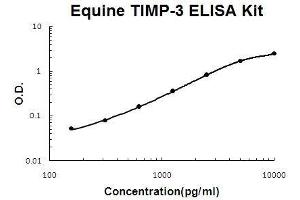 Horse equine TIMP-3 PicoKine ELISA Kit standard curve (TIMP3 Kit ELISA)
