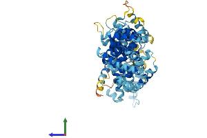 AlphaFold protein structure predicition of Human Recombinant FANCC Protein, UniprotID Q00597