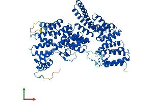 AlphaFold protein structure predicition of Human Recombinant IFT70A Protein, UniprotID Q86WT1