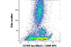 Flow cytometry surface staining pattern of human peripheral whole blood stained using anti-human CD49f (GoH3) purified antibody (concentration in sample 1,7 μg/mL, GAM APC). (ITGA6 anticorps)