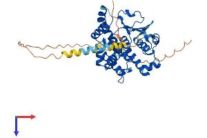 AlphaFold protein structure predicition of Mouse Recombinant Ptges2 Protein, UniprotID Q8BWM0