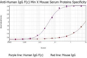 ELISA results of purified Goat anti-Human IgG F(c) antibody (min x Mouse serum proteins) tested against purified Human IgG F(c) . (Chèvre anti-Humain IgG (Fc Region) Anticorps - Preadsorbed)