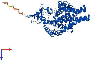 AlphaFold protein structure predicition of Mouse Recombinant Fads1 Protein, UniprotID Q920L1