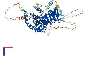 AlphaFold protein structure predicition of Mouse Recombinant Mettl4 Protein, UniprotID Q3U034