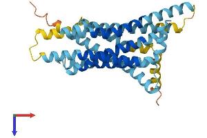 AlphaFold protein structure predicition of Human Recombinant TAS2R60 Protein, UniprotID P59551